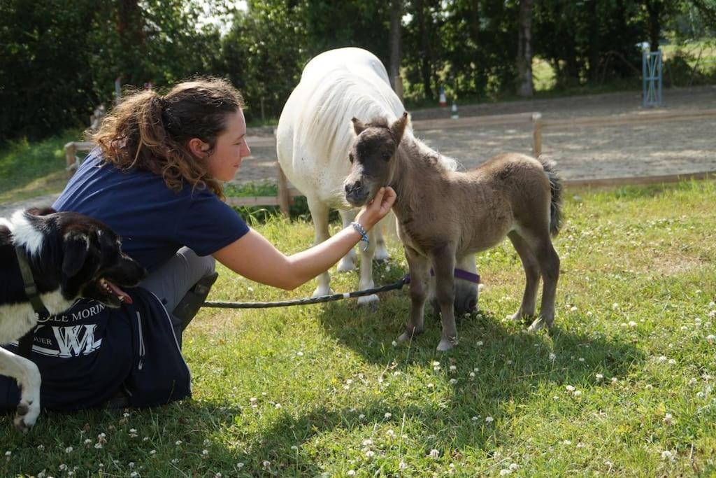 Gite Equestre Dans Centre Equestre Vers Saint Malo Plerguer Exterior photo